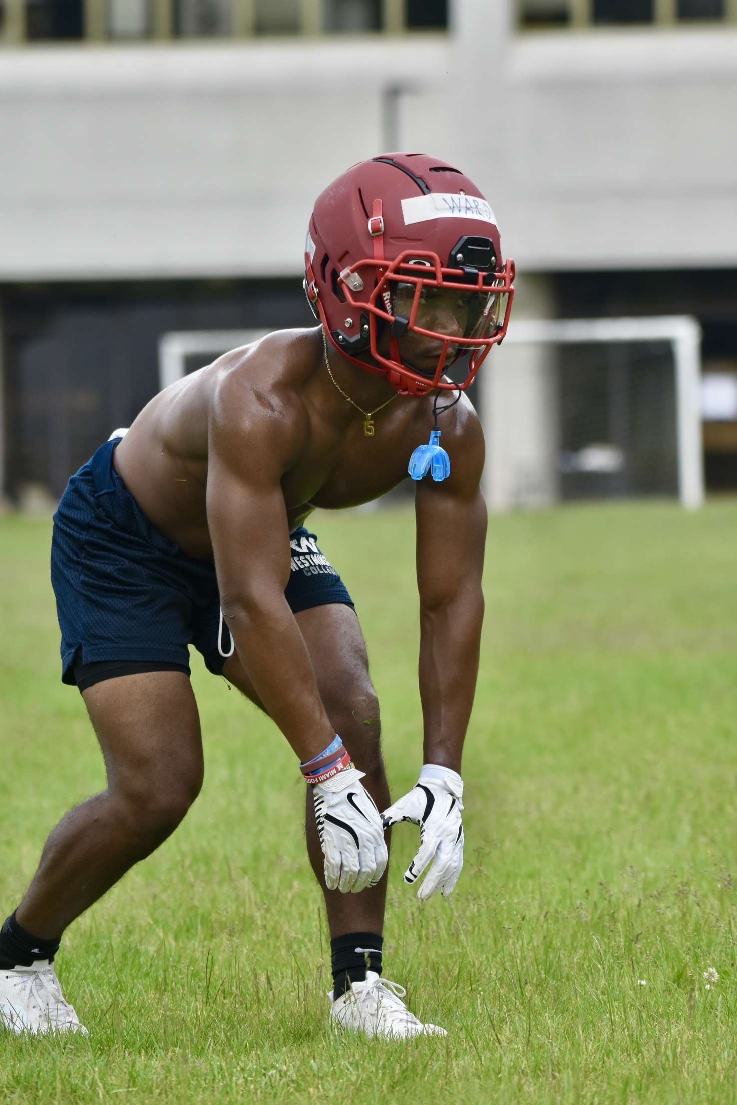 Zion Ward, Football, Westminster College (Pennsylvania)